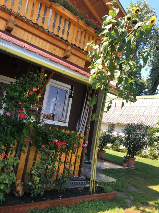 Hero 4 Sterne Ferienhaus Baja Luaran gambar